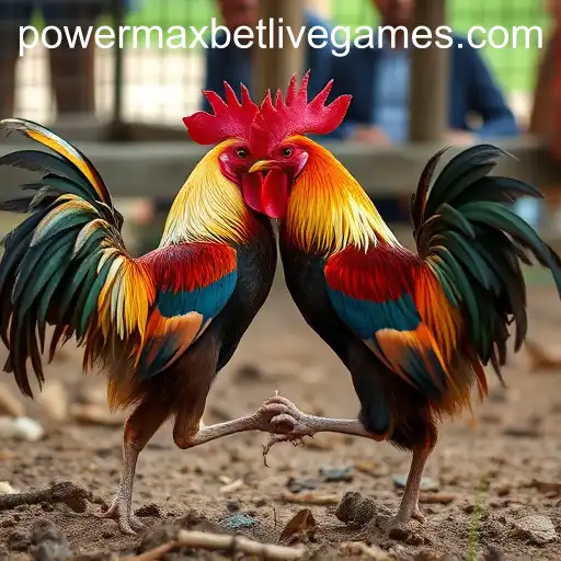 Sabong Games and the Integral Role of Powermaxbet